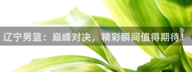 玩球直播在线观看：辽宁男篮：巅峰对决，精彩瞬间值得期待！