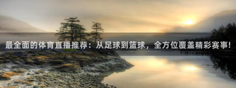 nba总决赛玩球直播：最全面的体育直播推荐：从足球到篮球，全方位覆盖精彩赛事!