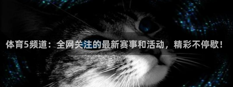 玩球直播nba：体育5频道：全网关注的最新赛事和活动，精彩不停歇！